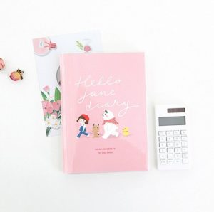 880-953023-5775 Hello Jane Diary -01 Pink