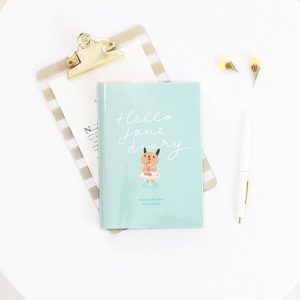 880-953023-5782 Hello Jane Diary -02 Mint