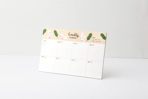 880-953023-9025 Hello Jane Weekly planner pad 03.Popo