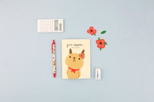 880-953023-1616 Hello Jane S03 A6 Notebook(Give Thanks-1