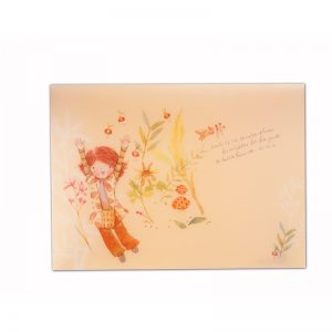 小喬 A5 Folder (橫)(浣熊)