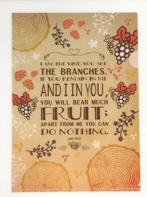 A4 file (Fruit)