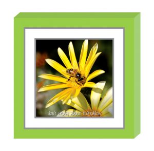 71770-06 Fold2Frame Cards-Don’t worry