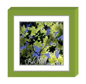 71770-09 Fold2Frame Cards-Be Still